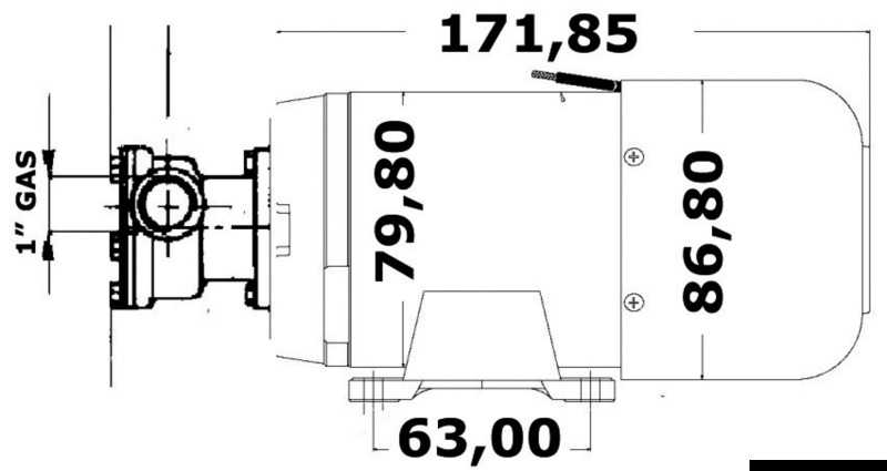 Pompe de cale auto-amorçable 24V 80 L/min