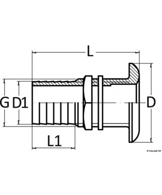 Passe-coque laiton jaune avec embout 1"1/2 x 45 mm